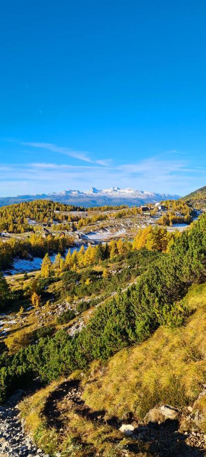 Ferienwohnungen Bergpanorama باد ميترندورف المظهر الخارجي الصورة